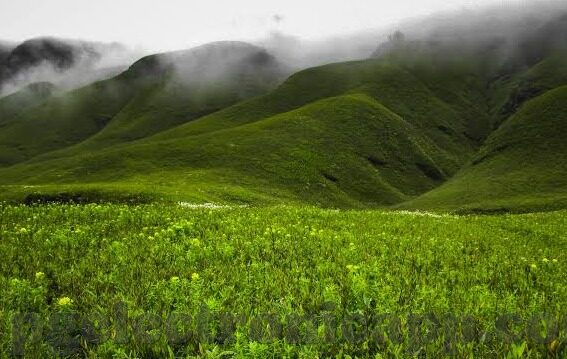 所有足球直播比分-实时追踪绿茵风云，所有足球直播比分——球迷的掌上观赛指南